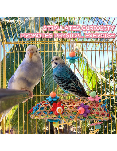 Juguetes para Aves RLRICH 6 Piezas Masticar y Desgaste