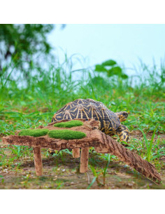 Plataforma de Sol para Tortugas Happyyami 14.5cm Resina 2