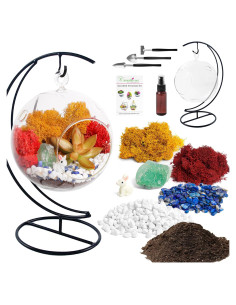 Kit de Terrario Colgante DIY 12.7 cm - Creaciones de Nathalie