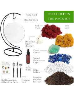 Kit de Terrario Colgante DIY 12.7 cm - Creaciones de Nathalie 2