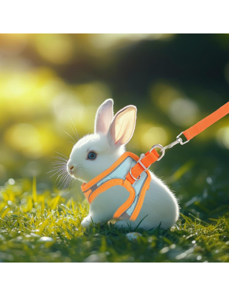 Arnés y Correa Ajustable Timwaygo para Conejo S Reflectante