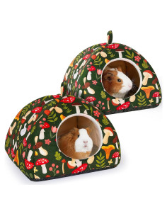 Escondite para Cobayas Glittme 2Pack - Suave y Antideslizante