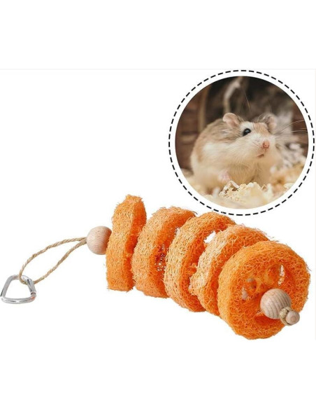 Juguetes de Madera de Luffa Natural TAOHUAJIANG para Conejos y Cobayas - 25.4 cm