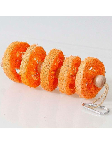 Juguetes de Madera de Luffa Natural TAOHUAJIANG para Conejos y Cobayas - 25.4 cm