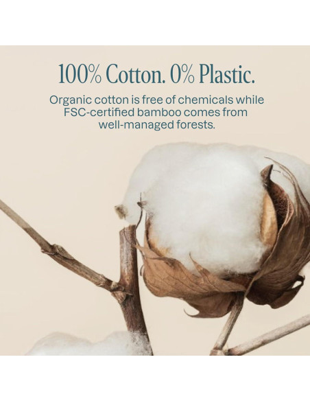 Hisopos de Algodón Orgánico Cliganic - 200 Unidades