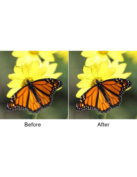 Control Remoto de Obturador ZHUXI BW-7009 para Sony Control Remoto de Obturador ZHUXI BW-7009 para Sony