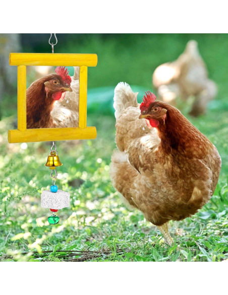 Juguete para Pollos Lnngub - Espejo Columpio y Piedras Limar Picos