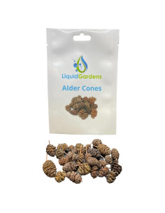 Conos de Aliso Liquid Gardens 25 Piezas para Acuario