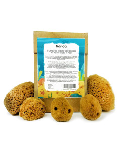 Esponjas Naturales Naroa para Cangrejos Ermitaños - 5 Unidades