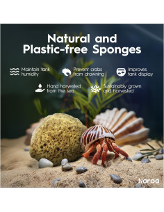 Esponjas Naturales Naroa para Cangrejos Ermitaños - 5 Unidades 2