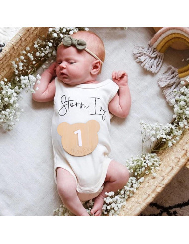 Tarjetas de Hitos Mensuales Osito de Madera 1-12 Meses