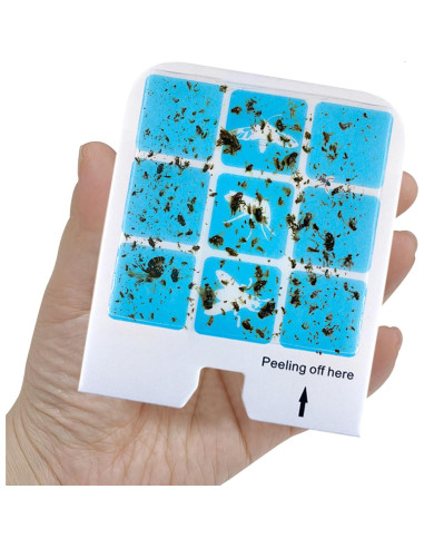 20 Tarjetas Adhesivas Repuesto Safer Home SH502 SH503 DT3005W