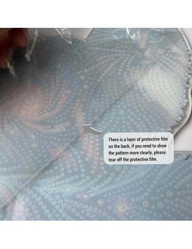 Kit de Pintura de Diamante VNRGG para Gatos Adultos 5D