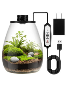 Terrario de Vidrio Maxdot con Luz LED para Suculentas 19.8 cm