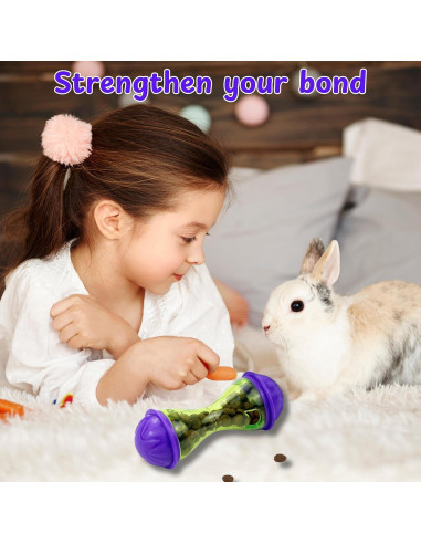 Bola de Tratamiento Interactiva para Hurones Homedy L Hueso