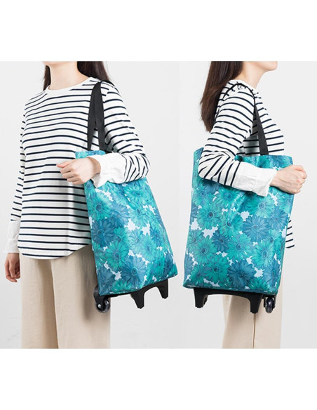 Carrito de Compras Plegable HOSDZOU con Ruedas 20 kg Caricatura