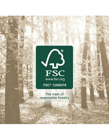 Cinta de papel Scotch translúcida 1.9 cm x 152.4 m, 2 rollos