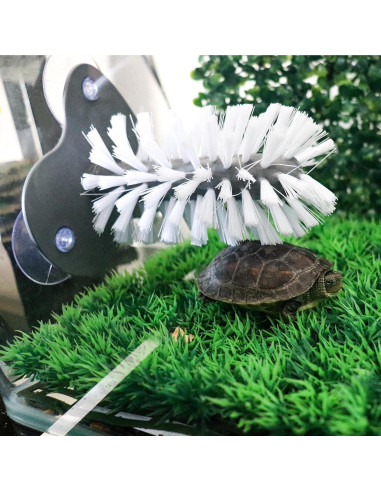 Paquete de 2 Cepillos de Tortuga MHLLGN con Ventosas