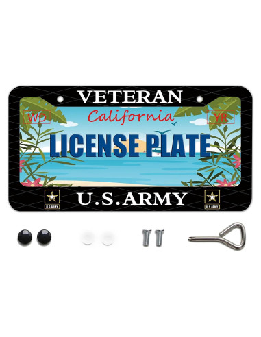 Marco de Placa de Licencia BOARLIDA Acero Inoxidable 30.5x15.2cm