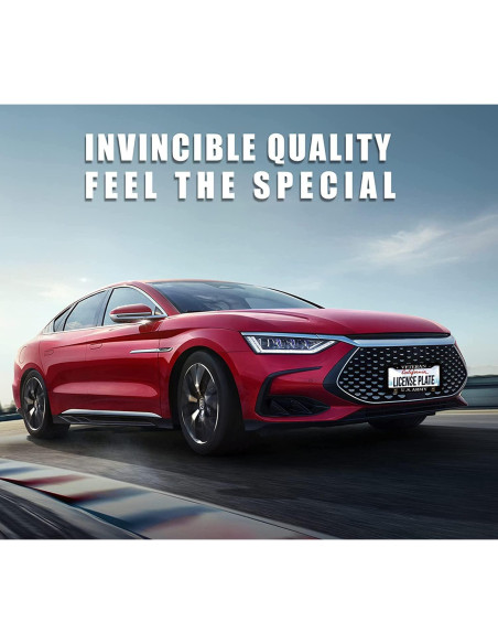 Marco de Placa de Licencia BOARLIDA Acero Inoxidable 30.5x15.2cm