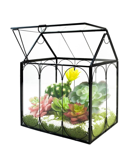Terrario de Plantas de Vidrio RIFNY 18x12x22 cm con Tapa