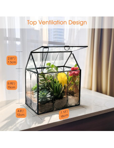 Terrario de Plantas de Vidrio RIFNY 18x12x22 cm con Tapa 2