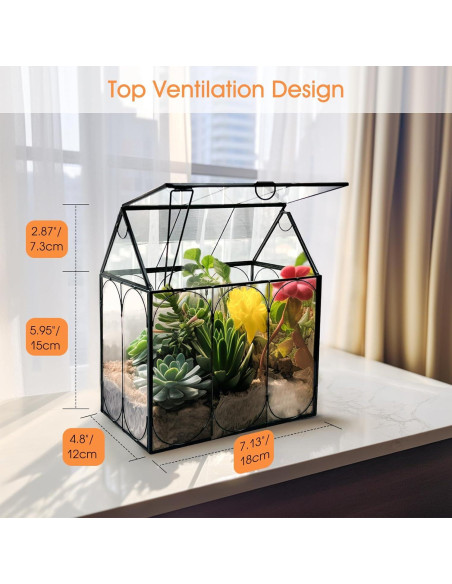 Terrario de Plantas de Vidrio RIFNY 18x12x22 cm con Tapa