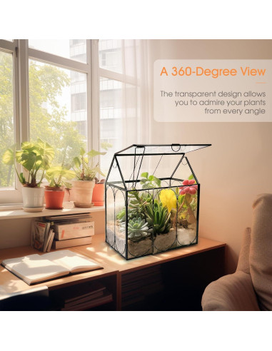 Terrario de Plantas de Vidrio RIFNY 18x12x22 cm con Tapa