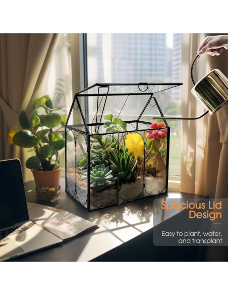 Terrario de Plantas de Vidrio RIFNY 18x12x22 cm con Tapa