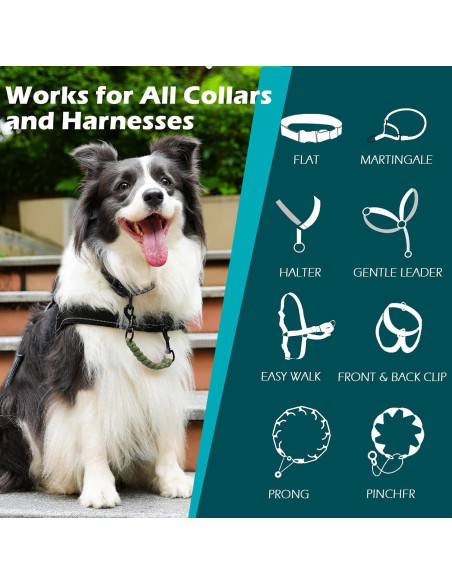 Clip de Seguridad para Collar de Perro PetBonus Verde Militar