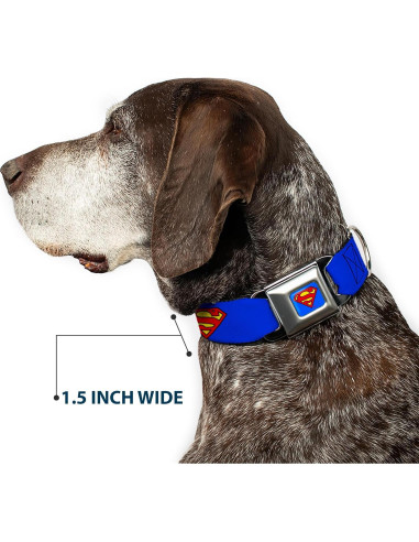 Collar de Perro Buckle-Down Escudo Superman Azul 22.86-38.1 cm