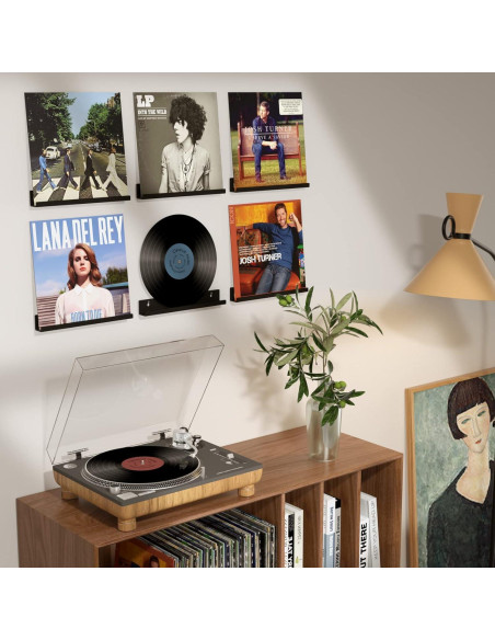 Estante de Exhibición de Discos de Vinilo FEMELI - 6 Piezas Acrílico Negro