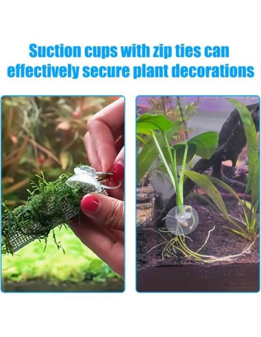 AQUANEAT 20 Ventosas para Acuario con Clips y Bridas Ajustables