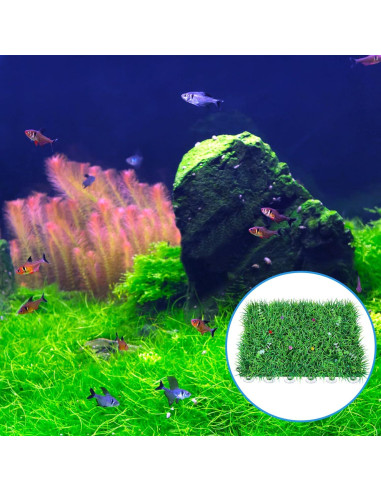 AQUANEAT 20 Ventosas para Acuario con Clips y Bridas Ajustables