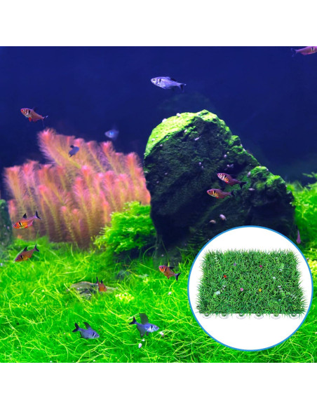 AQUANEAT 20 Ventosas para Acuario con Clips y Bridas Ajustables