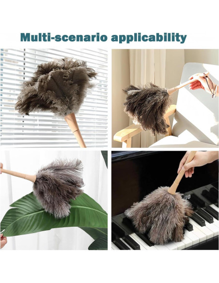 Plumero Ddzmz de Plumas Naturales de Avestruz 40.64 cm