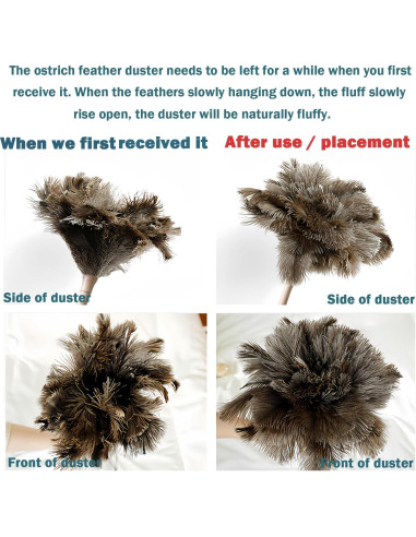 Plumero Ddzmz de Plumas Naturales de Avestruz 40.64 cm