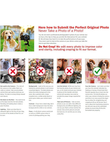 Tarjeta de Identificación Personalizada Just 4 Paws - Apoyo Emocional