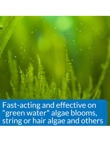 API ALGAEFIX Control de Algas 473 ml para Acuarios Dulces