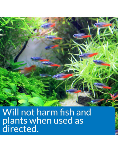 API ALGAEFIX Control de Algas 473 ml para Acuarios Dulces