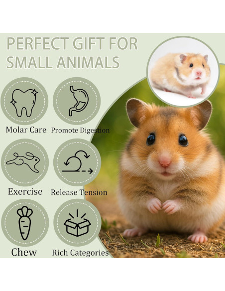 16 Piezas Juguetes Masticables de Madera Balsa para Mascotas