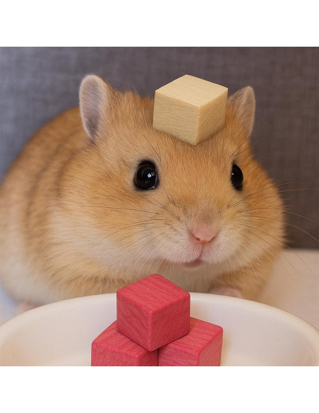 16 Piezas Juguetes Masticables de Madera Balsa para Mascotas