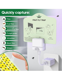 Trampa de Insectos Voladores LEUOA - 2 Dispositivos + 10 Tarjetas Amarillas 2