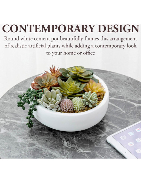 Arreglo Suculentas Artificiales MyGift en Tazón Concreto 20.6 cm