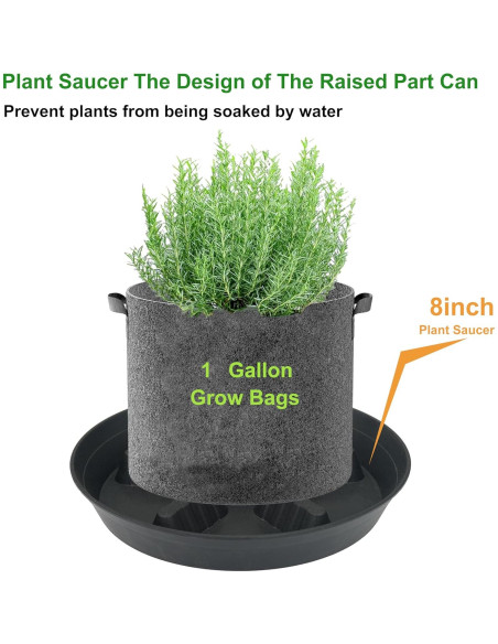 Paquete de 4 platos para plantas 20-43 cm Feyvdzv Paquete de 4 platos para plantas 20-43 cm Feyvdzv