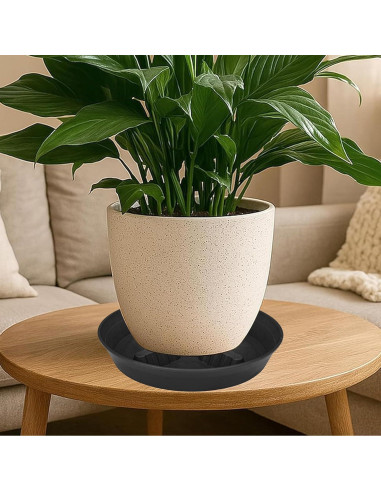 Paquete de 4 platos para plantas 20-43 cm Feyvdzv
