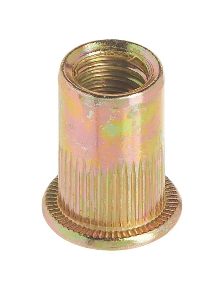 Tuercas Remachadas de Acero 100 Piezas Astro RN516