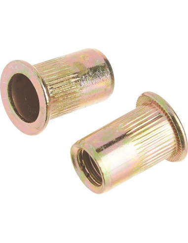 Tuercas Remachadas de Acero 100 Piezas Astro RN516