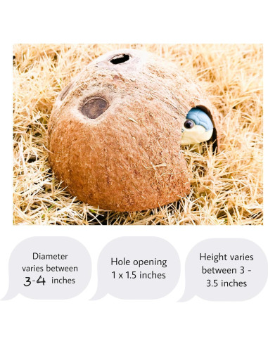 Escondite de Coco Natural Hexagrowth para Acuario 7.6x6.4 cm