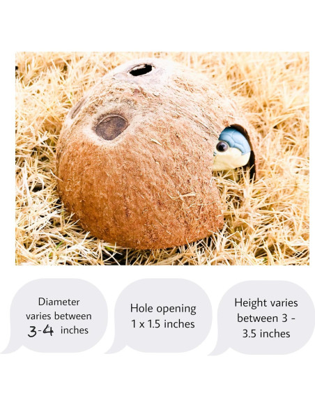 Escondite de Coco Natural Hexagrowth para Acuario 7.6x6.4 cm